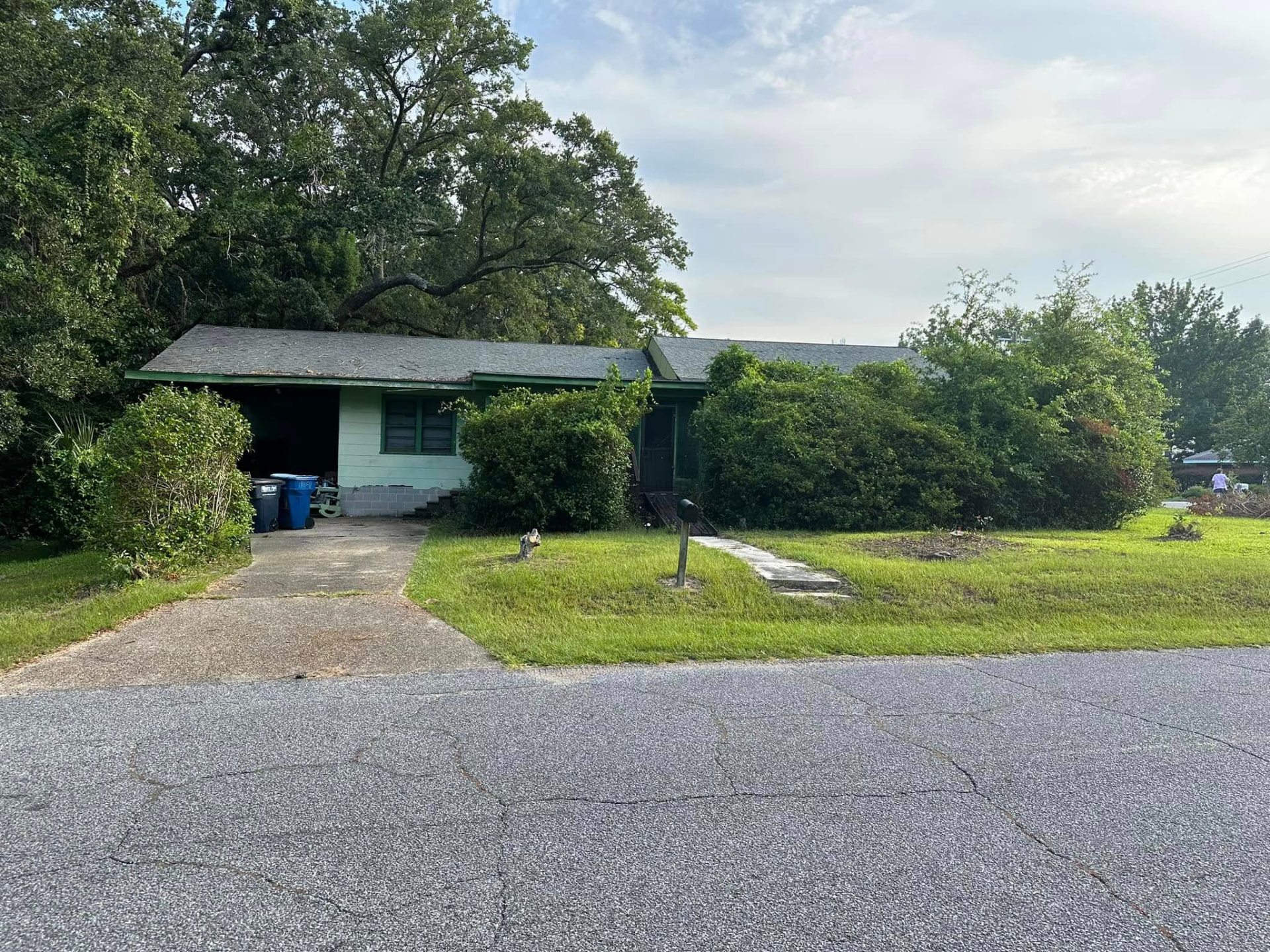 Overgrown house before demolition